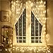 ZSTBT DM-300LW/1 300LED 9.84ft9.84ft/3m3m Window Curtain Lights for Party Wedding Home Patio Lawn Garden (Warm White)