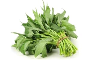 Dichmag 2000+ Kong Xin CAI Seeds - 40+ Grams Green Leaf Vegetable Seeds for Planting Garden - Non-GMO Choy Ong Seeds & 100% Produced in The US