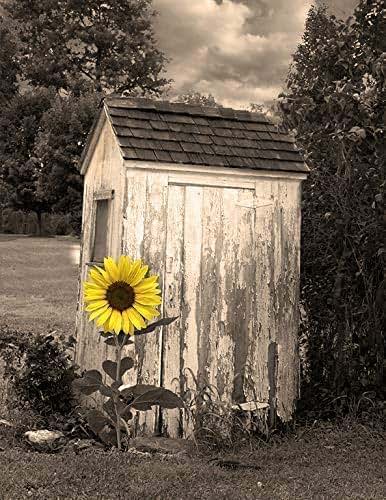 Amazon.com: Bathroom Farmhouse Wall Art, Sunflower ...