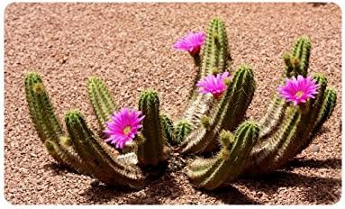 Desert Cactus Doormat Entrance Mat Floor Mat Rug Indoor/Outdoor/Front Door/Bathroom Mats Rubber Non Slip Size 30 x 18 inches