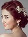 Venusvi Bridal Hair Pins- Wedding Hair Accessories(Pack of 3)
