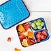 LunchBots Lite Bento Box Lunch Bundle - Includes Two Bento Boxes - One Section and Three Section Stainless Steel Containers and Silicone Cups - Eco-Friendly, Dishwasher Safe, BPA-Free - Ocean