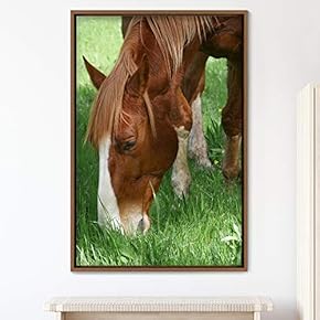 signwin Framed Canvas Wall Art Horse Animals Dramatic...