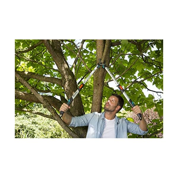 Gardena Astschere TeleCut 650-900 B: Teleskopierbare Bypass-Baumschere & Gartenschere Alu B/L: Pflanzenschonende… – Bild 5