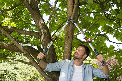 Gardena Astschere TeleCut 650-900 B: Teleskopierbare Bypass-Baumschere & Gartenschere Alu B/L: Pflanzenschonende… – Bild 5