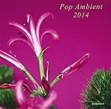 Pop Ambient 2014