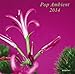 Pop Ambient 2014