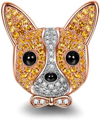 believe by brilliance necklace french bulldog