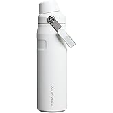 STANLEY IceFlow Fast Flow Bottle, 24 oz, Frost | Angled Spout Lid | Lightweight and Leakproof for Travel and Sports | Easy Carry Handle | Insulated Stainless Steel | BPA-Free