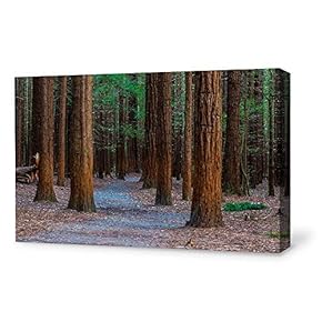 Canvas Wall Art for Living Room,Bedroom Home Artwork Paintings Red Wood Ready to Hang - 12x18 inches
