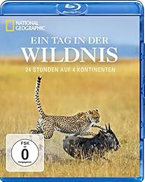 Ein Tag In Der Wildnis - 24 Stunden Auf 4 Kontinenten