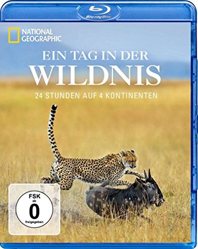 Ein Tag In Der Wildnis - 24 Stunden Auf 4 Kontinenten