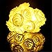 NYKKOLA 20 LED Battery Operated String Flower Rose Fairy Light Wedding Room Garden Christmass Decor (Warm White)
