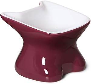 LE TAUCI Cat Bowl Elevated, Ceramic 4 Oz Pet Raised Food Bowl , Cat Feeder Dish for Food and Water, Fit Small Cat Dog