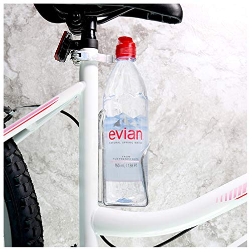 evian Natural Spring Water Individual 750 mL/25.3 Fl Oz (Pack of 12