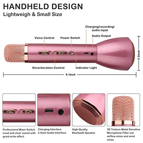 6 Microphone+Cordless+Wireless+Bluetooth+Portable