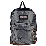 JanSport Right Pack Expressions Backpack - 1900cu in Silver Rose Jacquard, One Size