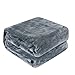 Luxury Collection Microplush Flannel Fleece Blanket | Ultra Soft 380 GSM Lightweight All-Season Anti-Static Throw/Blanket for Sofa Couch Bed (Twin (59'' x 78''), Azure Gray)