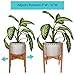 Houseables Plant Stand Adjustable, Indoor Plants Stands, 8″-12″, 1 Pk, Wooden, Bamboo Construction, Mid Century Modern Trivet, Outdoor, Free Standing Display, for Ceramic Flower Pot, House Fernthumb 1