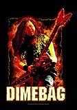 LPG International Dimebag Darrel 