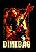 LPG International Dimebag Darrel "Fire" Fabric Poster