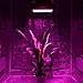 LED Grow Light 300 Watt Hydroponics System,Full Spectrum Greenhouse Garden Indoor Plants Grow Lights Lighting Fixture,High Par and Penetration for Veg and Flower (300W)