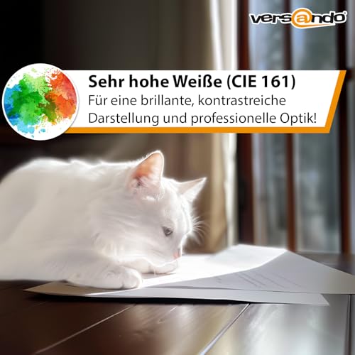 versando 1.500 Blatt Druckerpapier A4 hochweiß CIE161 Premium Kopierpapier (3x 500 Blatt HighWhite 80) strahlende Farben, klare Schrift, PEFC zertifiziert thumbnail 2