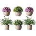 HC STAR Potted Artificial Pant Fake Green Grass with Pot Decorative Lifelike Set of 6 (High-Foot, Green-4 & Purple-2)