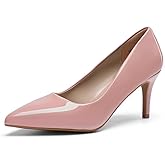 DREAM PAIRS Women's High Stiletto Heels Closed Pointed Toe Dress Pumps Shoes for Wedding Work Office Business, 3 Inches