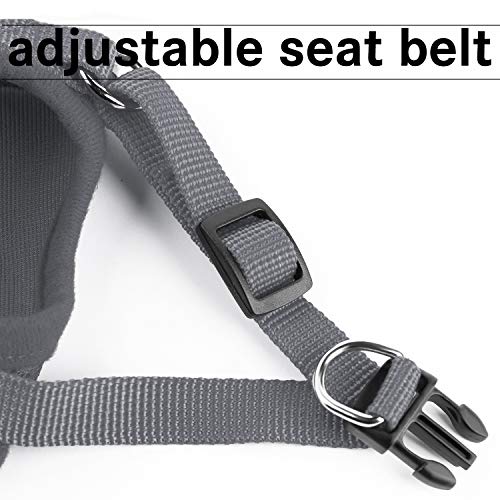 Kamots Beauty Escape Proof Cat Harness and Leash for Walking Adjustable Soft Mesh Pet Vest with Lead for Kitten -(Grey,S)