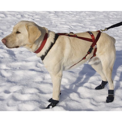 UltraPaws Dog OneHarness, Large, Red, My Pet Supplies