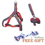 Dog Leash Harness,ERZA SCARLET Adjustable and Heavy Duty Denim Dog Leash Collar for Training & Everyday Walking,Leash Collar for Small and Large Dog(small,11.8-17.7inch)