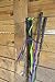 Intrepid International Lunge Whips, Purple