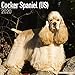 Cocker Spaniel (US) Calendar - Dog Breed Calendars - 2019 - 2020 Wall Calendars - 16 Month by Avonsi by