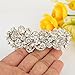 EVER FAITH Silver-Tone Austrian Crystal Art Deco Floral Leaf Hair Barrette Clip Clear