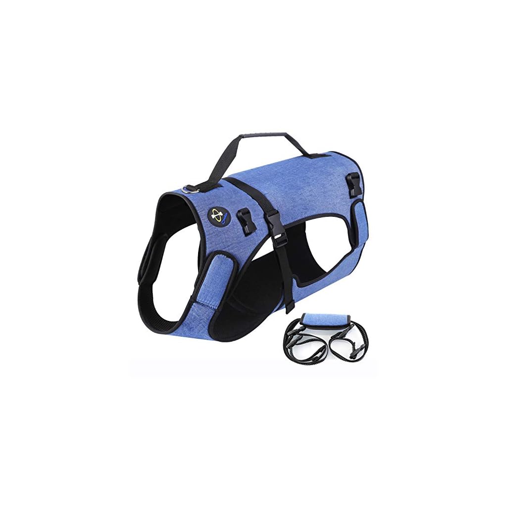 Coodeo Dog Lift Harness, Support & Recovery Sling, Pet Rehabilitation