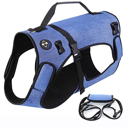 coodeo dog harness