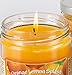 Specialty Pet Products Orange Lemon Splash 13 Oz. Pet Odor Exterminator Candle 2-Pack