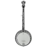 Ibanez B300 5-str Reso Banjo