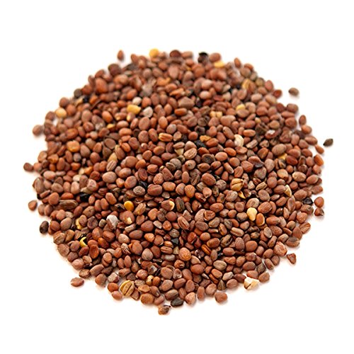 Spice Jungle Daikon Radish Seeds - 4 oz. - Thumbnail 2