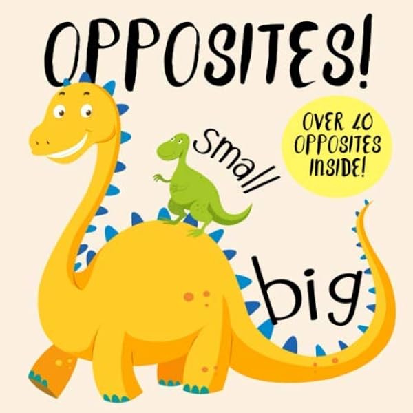 Opposites A Fun Early Learning Book For 2 4 Year Olds For Little Ones Books 9781973102144 Amazon Com Books