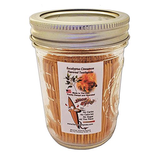 600 Cinnamon-Eucalyptus Flavor Natural Wooden Toothpicks in Glass Jar with Lid – Use to Quit Smoking and Freshen Breath After Food and Drink – An Alternative to Gum, Mints and Cigarettes