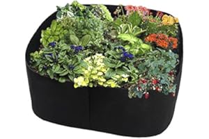 ALAPASTE Fabric Raised Planting Bed, Garden Grow Bags Herb Flower Vegetable Plants Bed Rectangle Planter (2ft x 2ft)