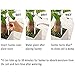 Sustee Medium Refillable Insert Aqua Meter (White) with Core Installed + 2 Additional Medium Cores - Plant Moisture Sensor For Potted Plants