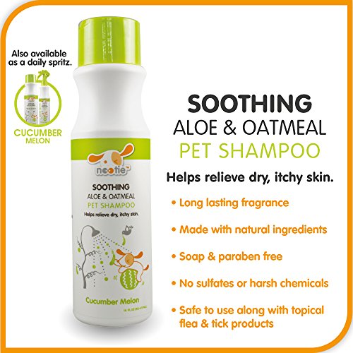 Nootie- Pet Shampoo, 1 Unit,16oz,Cucumber Melon