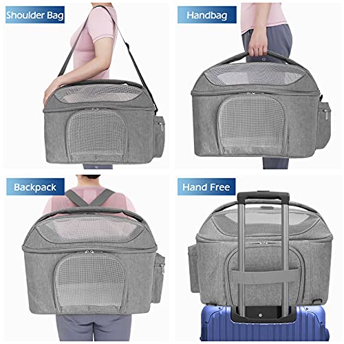 Henkelion Cat Backpack Carrier Pet Travel Bag, Small Dog Backpack for