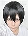 Cf-fashion Free!Cosplay Wig All Member Collection