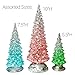 BANBERRY DESIGNS Table Top Christmas Trees - Set of 6 - LED Lighted Acrylic Christmas Trees Holiday Decoration Set of 6 Assorted Sizes 10