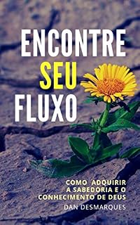 Livro Encontre Seu fluxo: Como Adquirir a Sabedoria e o Conhecimento de Deus