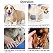 URPOWER Rechargeable Pet Nail Grinder Upgraded Dog Nail Grinder with USB Charging Quite & Powerful Nail Clipper for Gentle Paws Grooming Nail Grinder for Dogs Cats and Other Small & Medium Pets